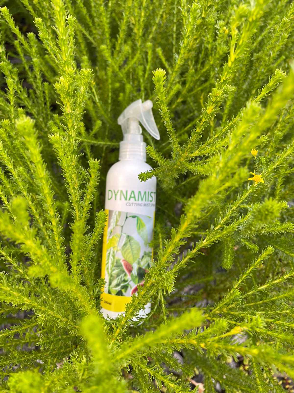 DynaMist™