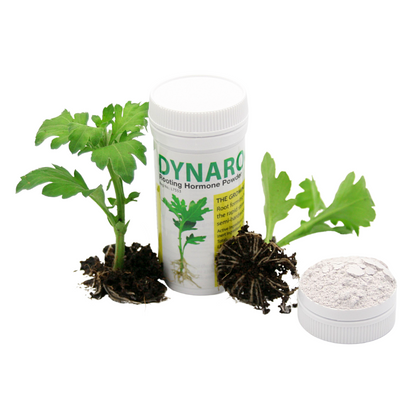 DynaRoot™ Powder